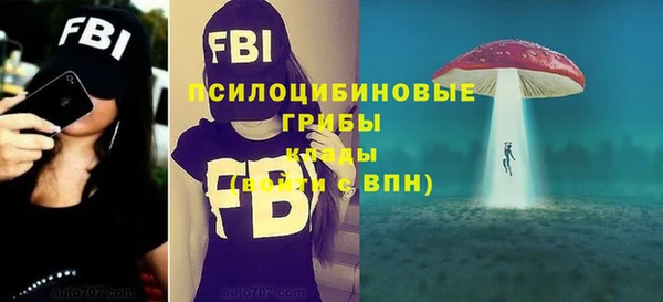 Альфа ПВП Лабытнанги
