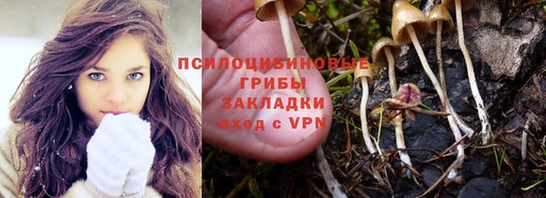 первитин Арсеньев